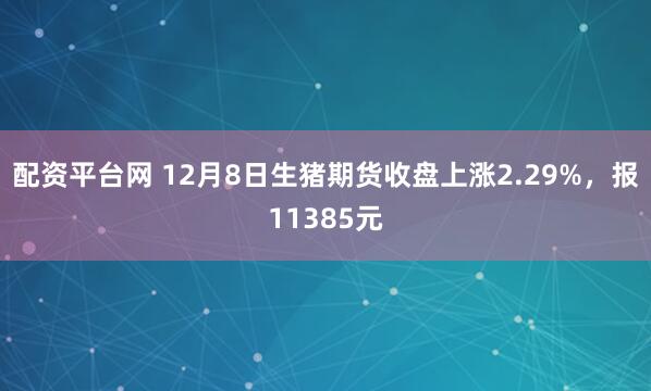 配资平台网 12月8日生猪期货收盘上涨2.29%，报11385元