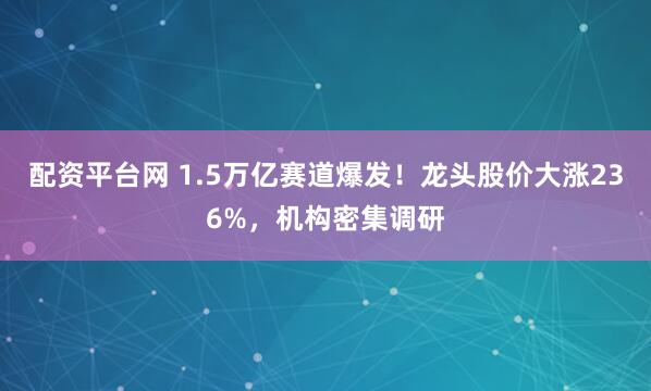 配资平台网 1.5万亿赛道爆发！龙头股价大涨236%，机构密集调研