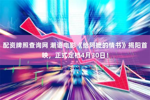 配资牌照查询网 潮语电影《给阿嬷的情书》揭阳首映,正式定档4月30日!